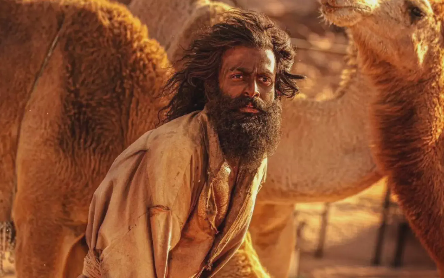 Image of scene from the film Aadujeevitham