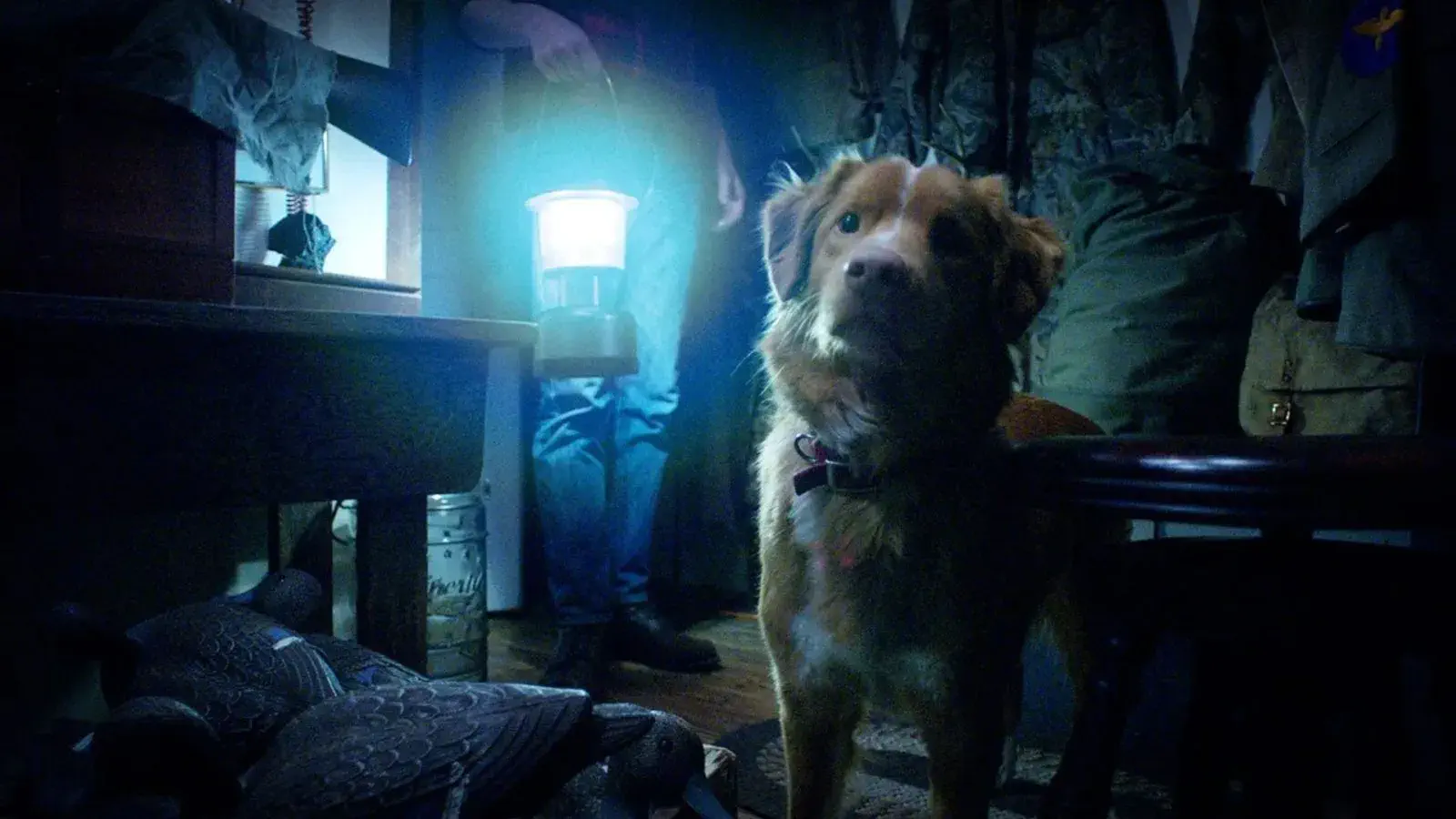 Image of scene from the film Good Boy