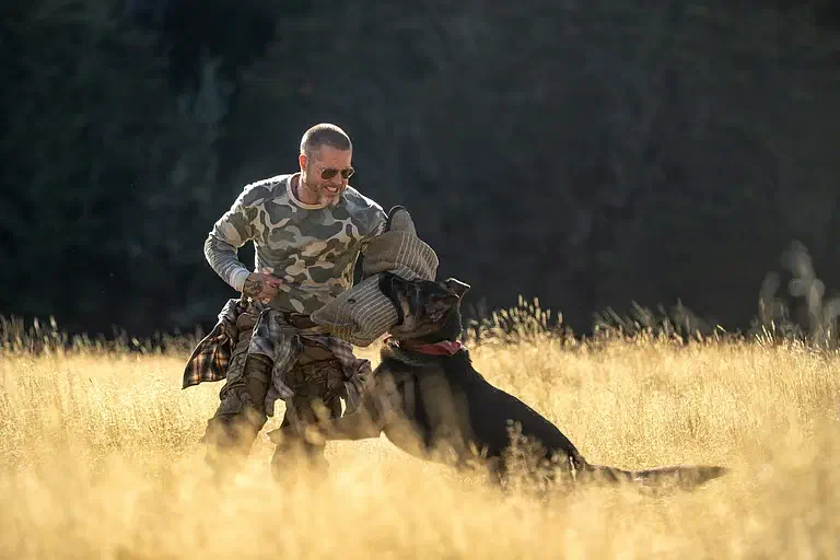 Image of scene from the film Heart of the Beast