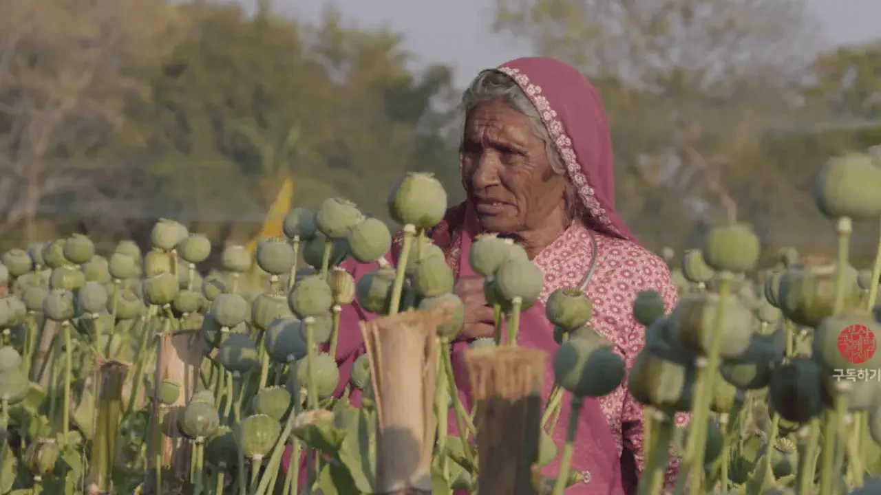 Image of scene from the film I Poppy
