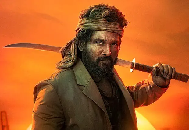 Image of scene from the film Pushpa 2