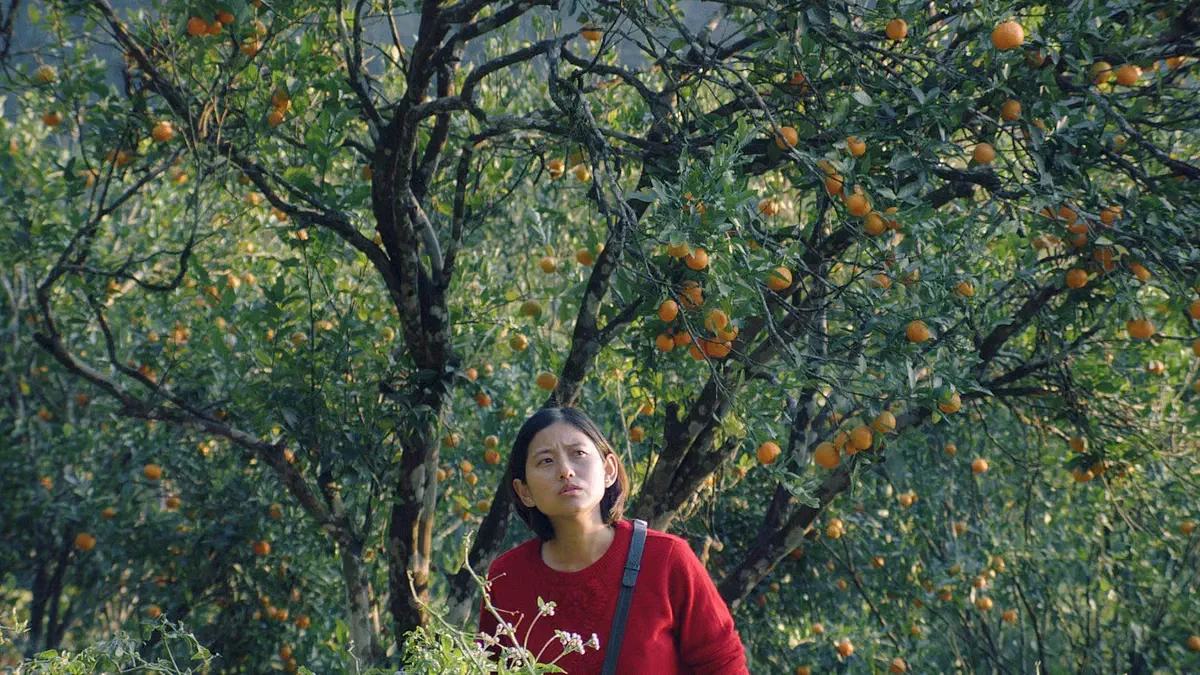 Image of scene from the film Shape of Momo