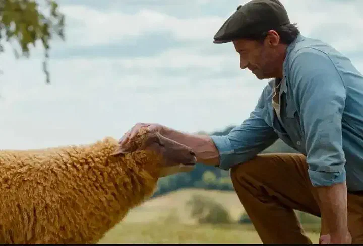 Image of scene from the film The Sheep Detectives