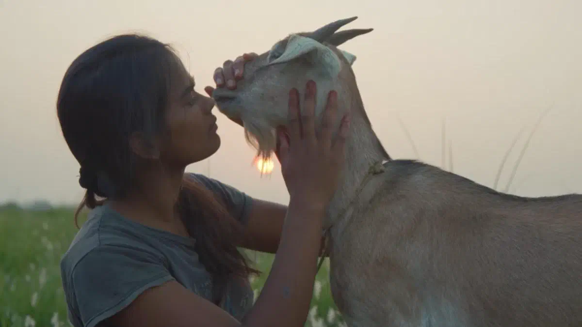 Image of scene from the film Village Rockstars 2