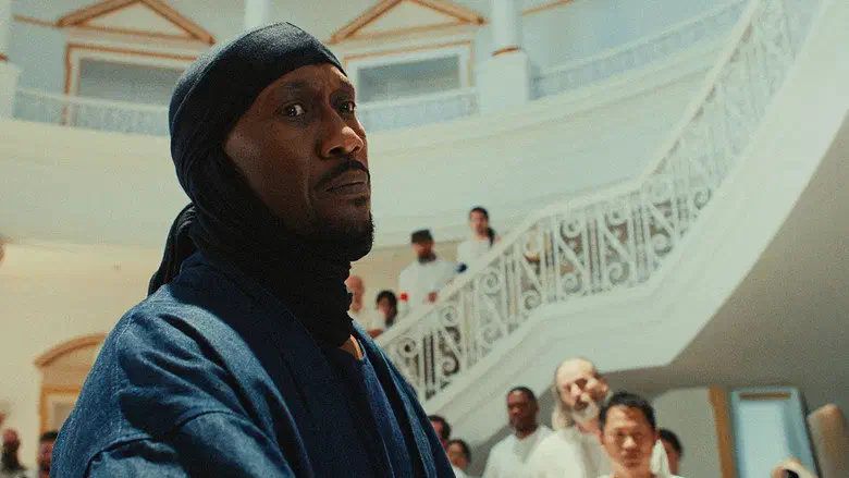 Image of scene from the film Your Mother Your Mother Your Mother
