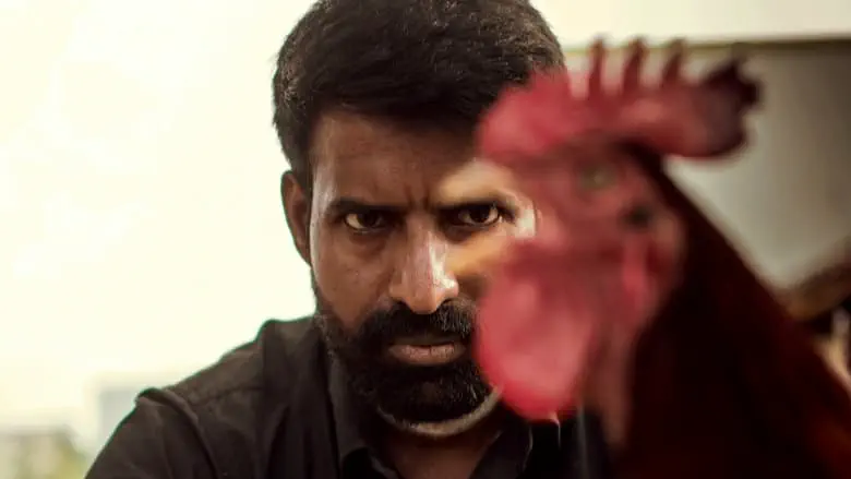 Image of scene from the film Kottukkaali