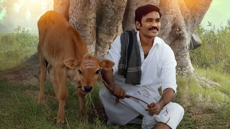 Image of scene from the film Idli Kadai