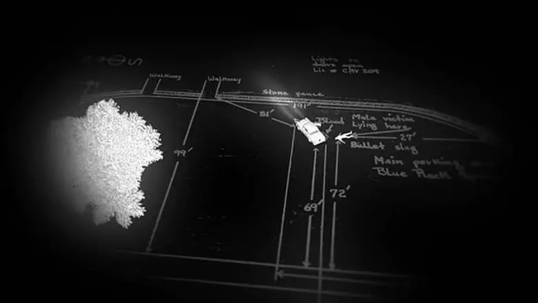 Image of scene from the film This Is the Zodiac Speaking