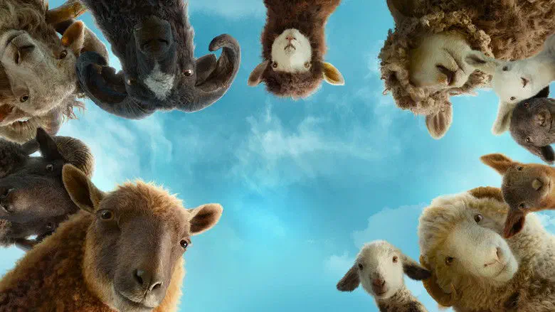 Image of scene from the film The Sheep Detectives