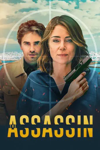 Poster of the film The Assassin