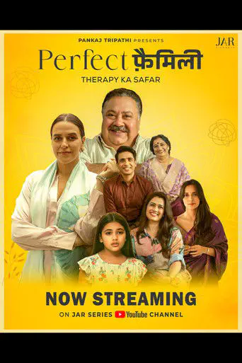 Poster of the film Perfect Family
