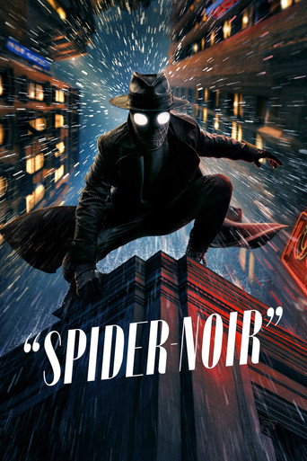 Spider Noir