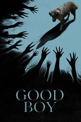 Poster of the film Good Boy